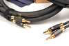 RAMM Audio Amadeus5 MK2  - single-wire - gold-plated bananas