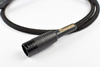 Audiomica Calcit Gold - XLR
