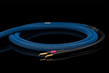 Albedo Blue - speaker - bananas BFA