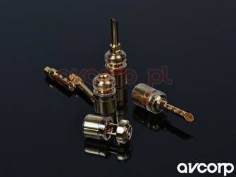 Supra CombiCon Banana - BFA