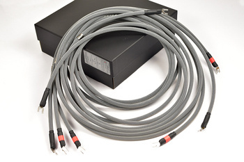 Albedo Geo MKII  - głośnikowy - spades