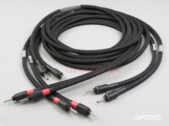 Albedo Solid MKII  - speaker - bananas BFA