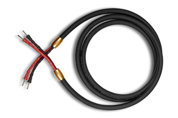 Cardas Clear Reflection Speaker - bananas