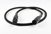 Audiomica Calcit Gold - XLR