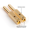Wattgate 360i EVOlution (clear / smoke) - plug Schuko (EU)