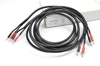 Acoustic Revive SPC-REFERENCE II / Oyaide SRBN - bananas